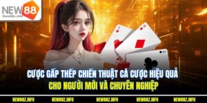Cược gấp thếp
