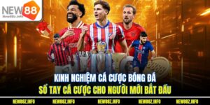 Kinh nghiệm cá cược bóng đá